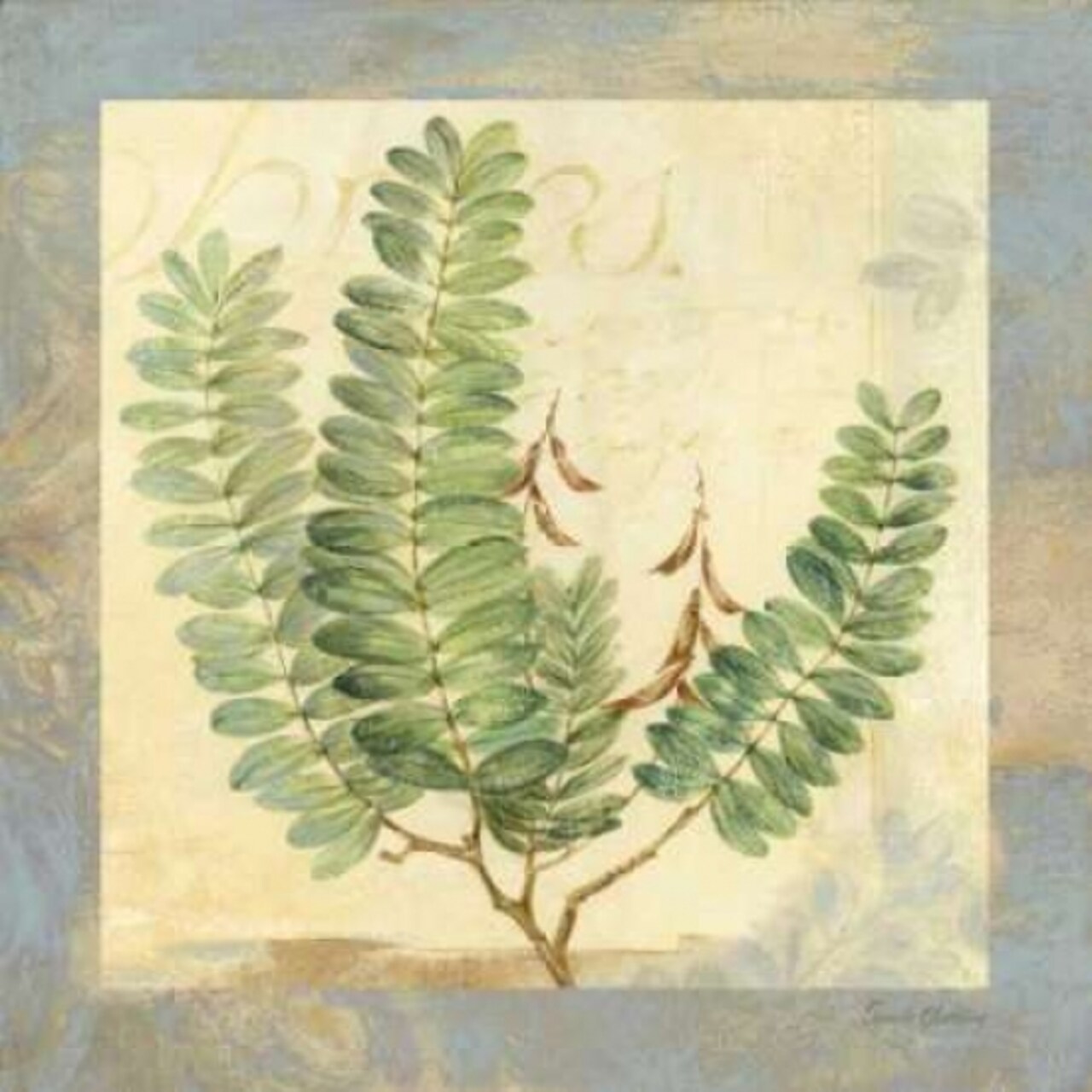 Leaf Botanicals I Poster Print by Pamela Gladding - Item # VARPDXGLA401